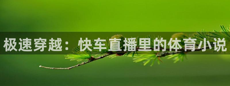 看球吧直播网：极速穿越：快车直播里的体育小说