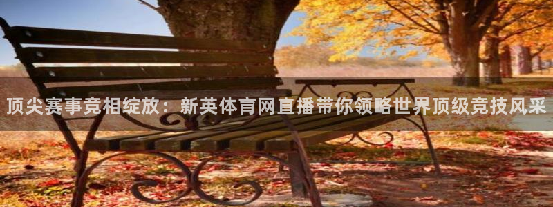 看球吧直播nba直播：顶尖赛事竞相绽放：新英体育网直播带你领略世界顶级竞技风采