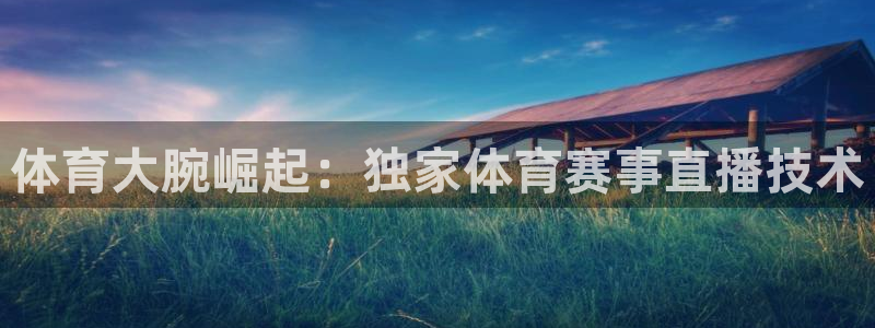 365看球吧直播：体育大腕崛起：独家体育赛事直播技术