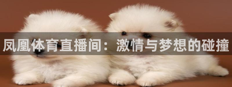 看球吧直播入口：凤凰体育直播间：激情与梦想的碰撞