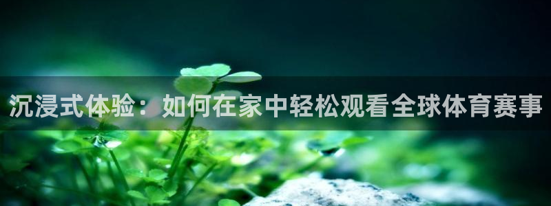 310看球吧直播nba：沉浸式体验：如何在家中轻松观看全球体育赛事