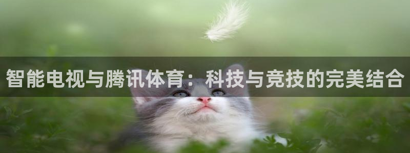 看球吧直播下载：智能电视与腾讯体育：科技与竞技的完美结合