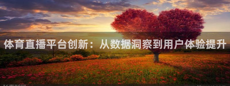 体育赛事视频直播看球吧：体育直播平台创新：从数据洞察到用户体验提升