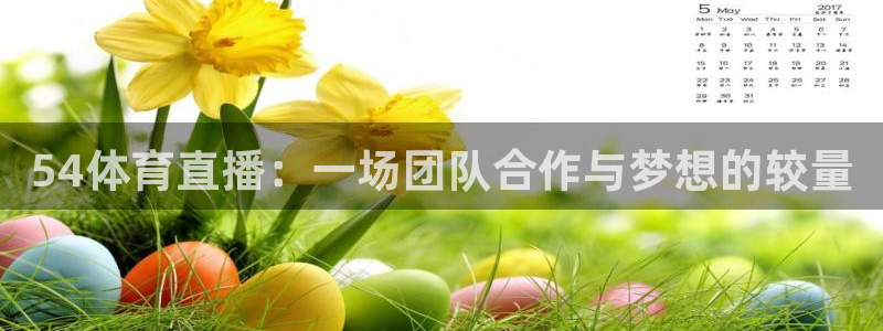 看球吧nba直播：54体育直播：一场团队合作与梦想的较量