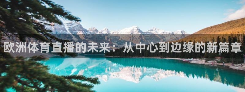 88看球吧直播nba：欧洲体育直播的未来：从中心到边缘的新篇章