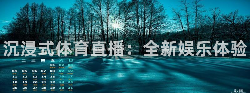 看球吧直播入口：沉浸式体育直播：全新娱乐体验