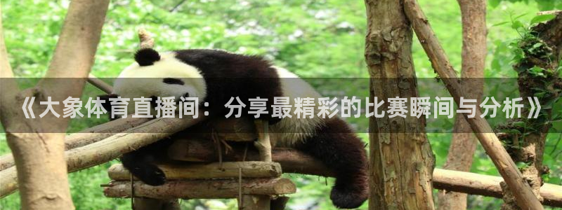 jrs直播低调看球吧：《大象体育直播间：分享最精彩的比赛瞬间与分析》