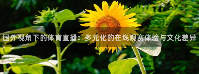爱看球吧jrs直播：国外视角下的体育直播：多元化的在线观赛体验与文化差异