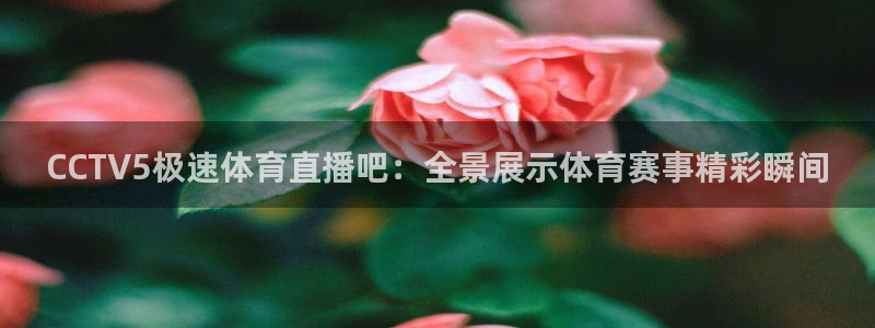 看球吧直播在线观看：CCTV5极速体育直播吧：全景展示体育赛事精彩瞬间