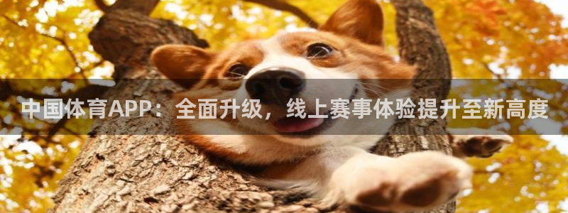 看球吧nba直播：中国体育APP：全面升级，线上赛事体验提升至新高度